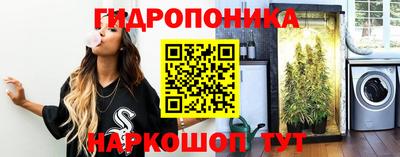 сатива Берёзовский