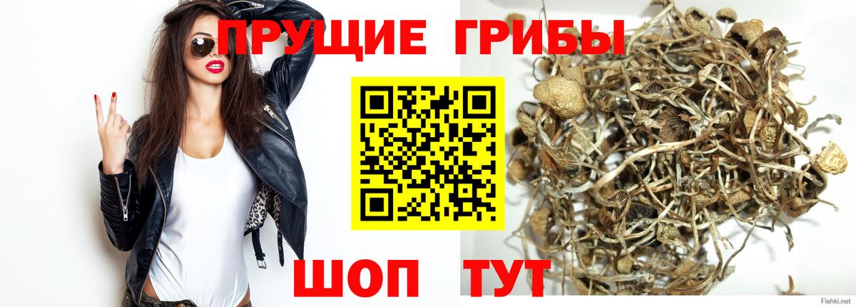 Галлюциногенные грибы мицелий Димитровград
